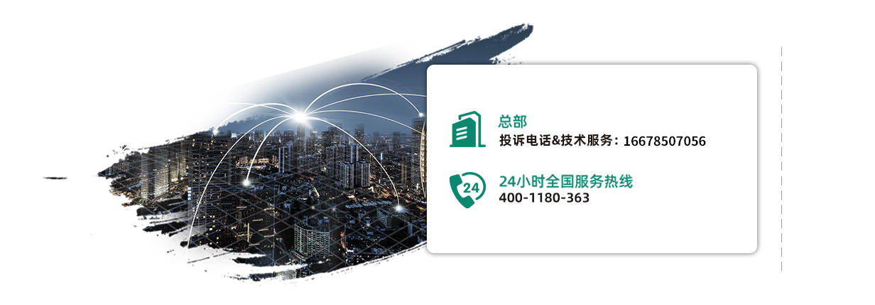 白姐全年正版王中王