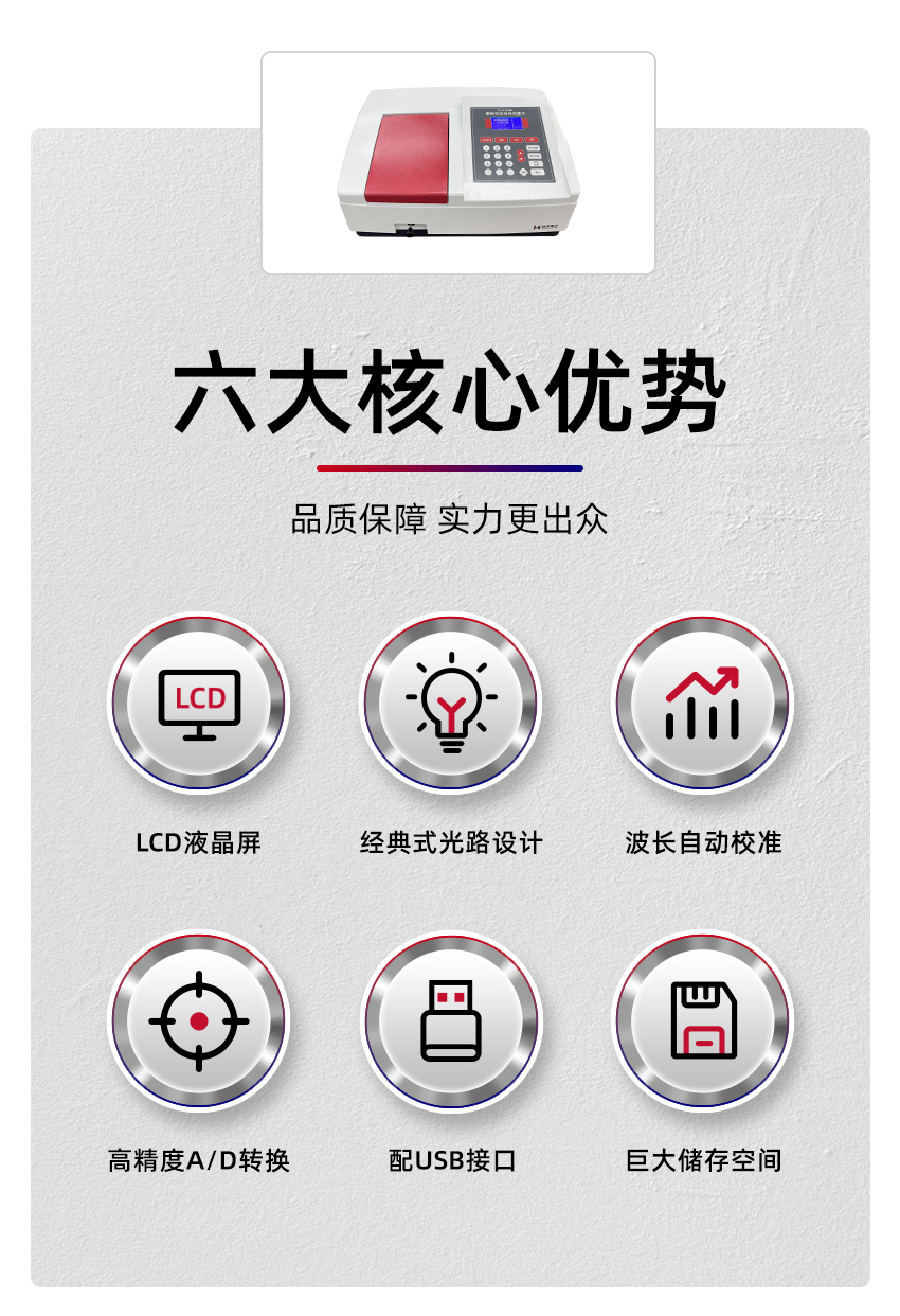 白姐全年正版王中王