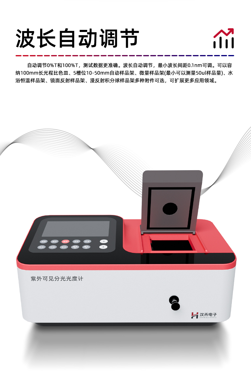 白姐全年正版王中王
