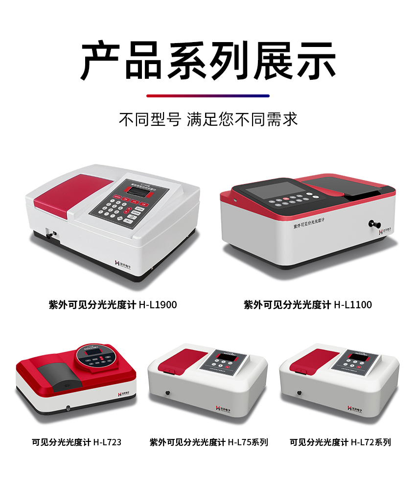 白姐全年正版王中王