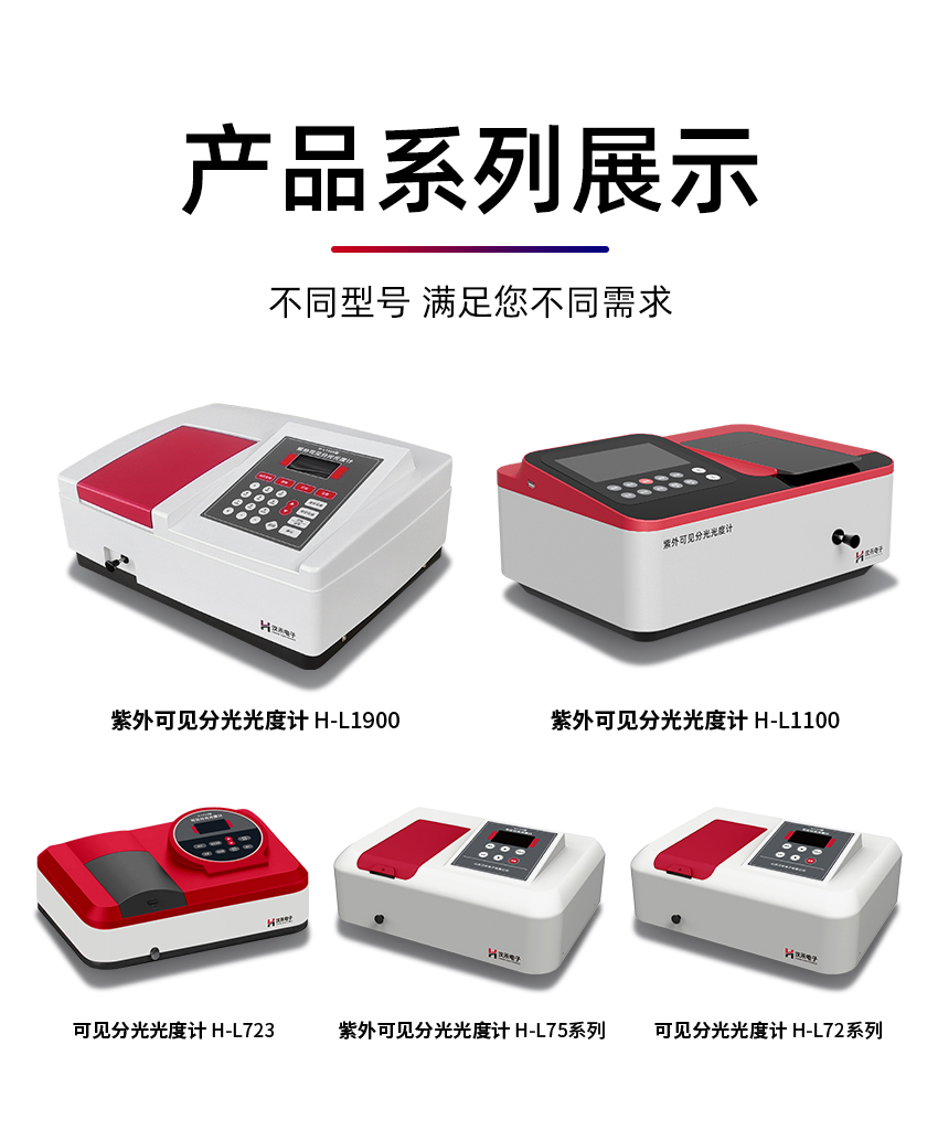 白姐全年正版王中王