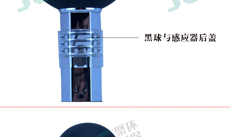 白姐全年正版王中王