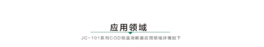 白姐全年正版王中王