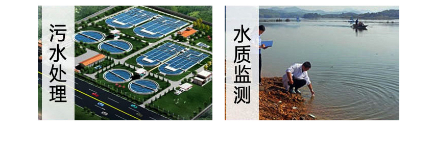 白姐全年正版王中王