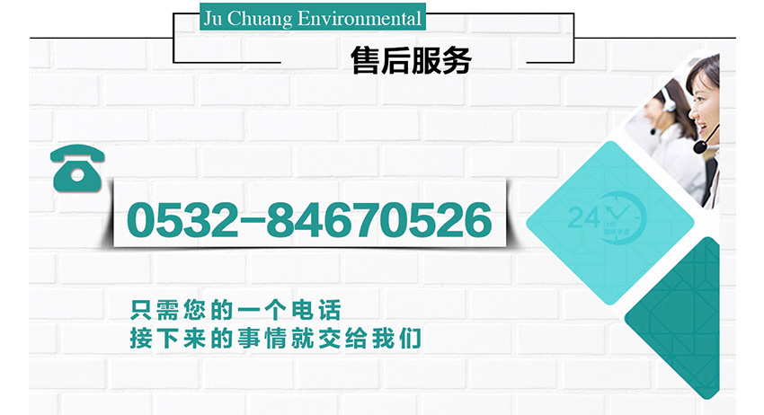 白姐全年正版王中王