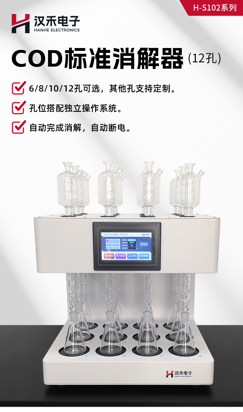 白姐全年正版王中王