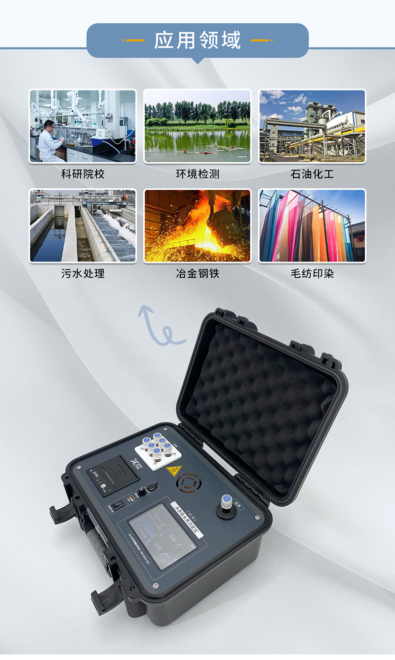 白姐全年正版王中王
