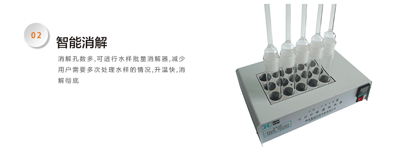 白姐全年正版王中王