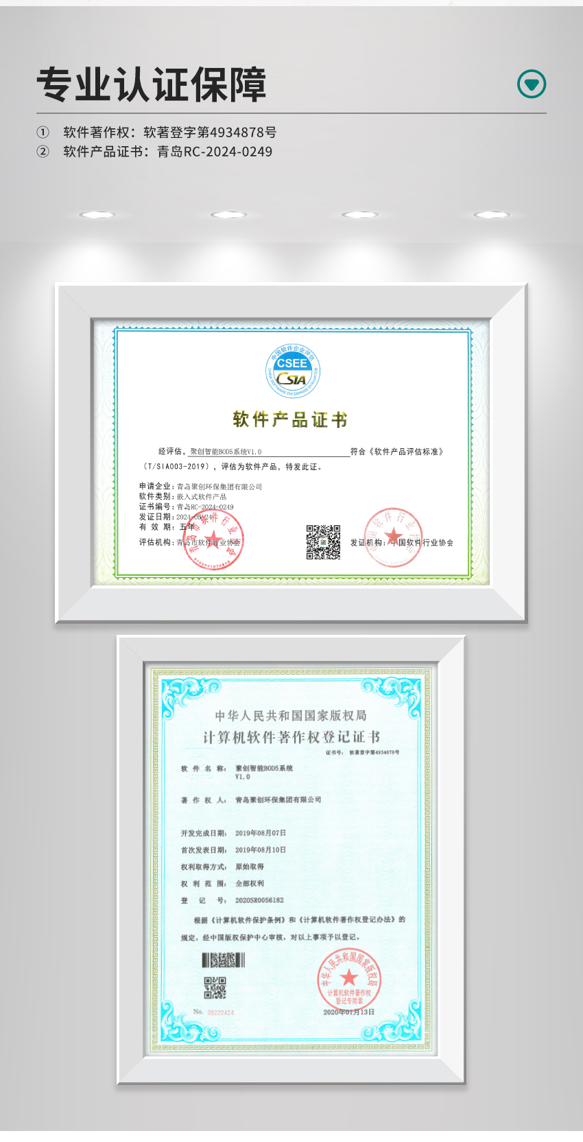 白姐全年正版王中王
