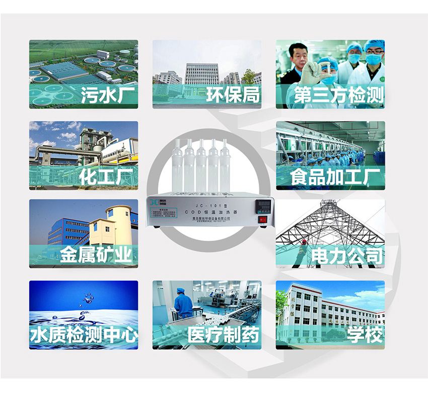 白姐全年正版王中王