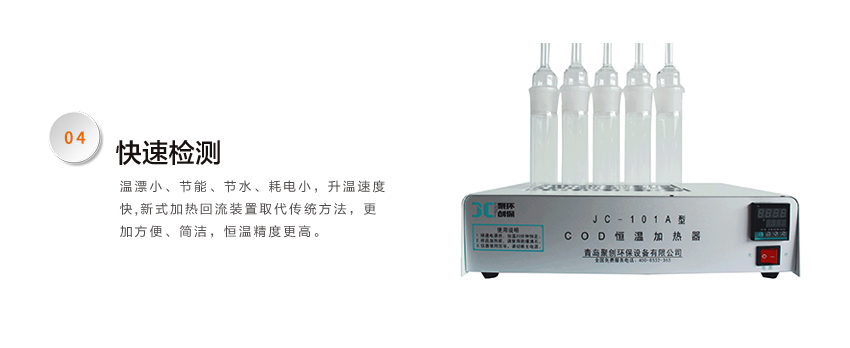 白姐全年正版王中王