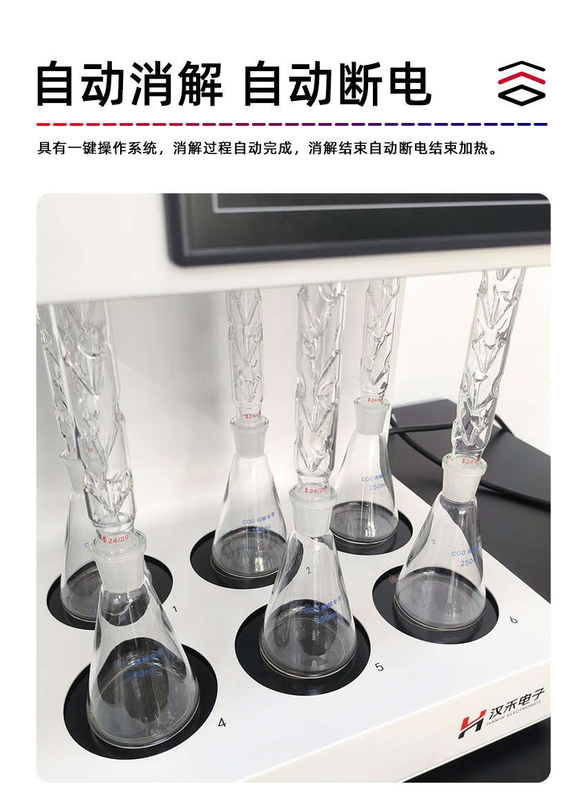 白姐全年正版王中王