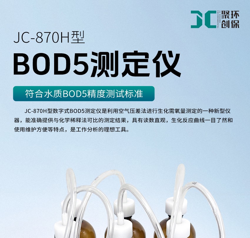 白姐全年正版王中王