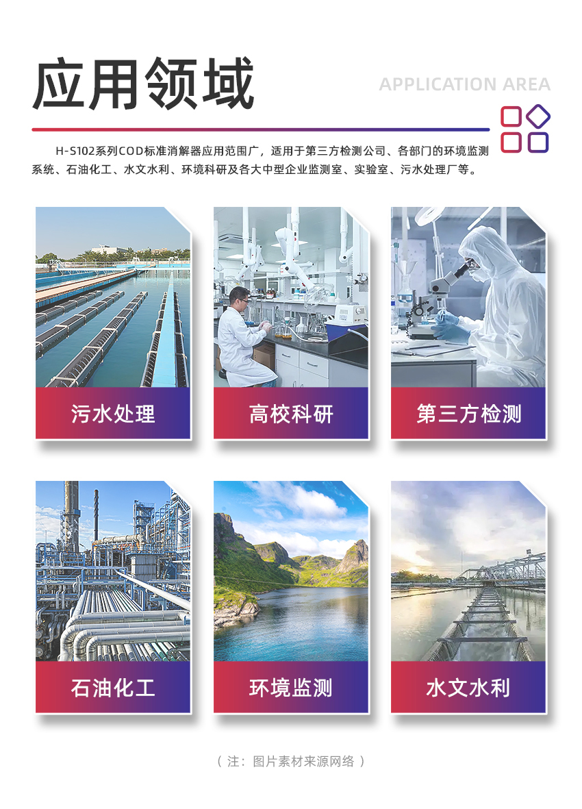 白姐全年正版王中王
