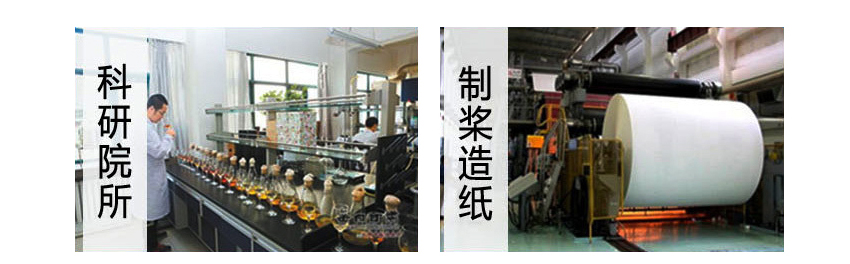 白姐全年正版王中王