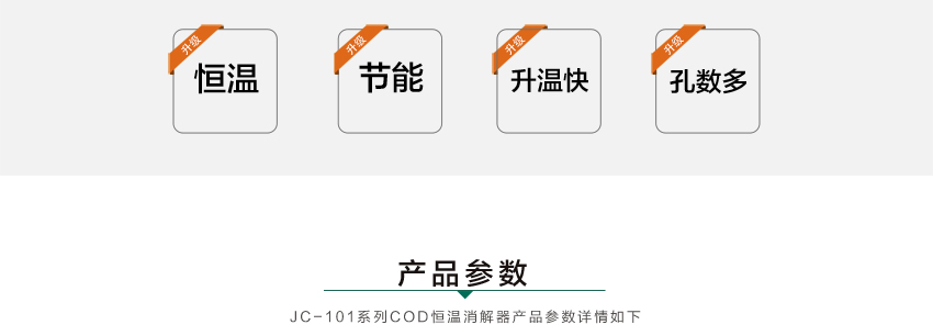 白姐全年正版王中王