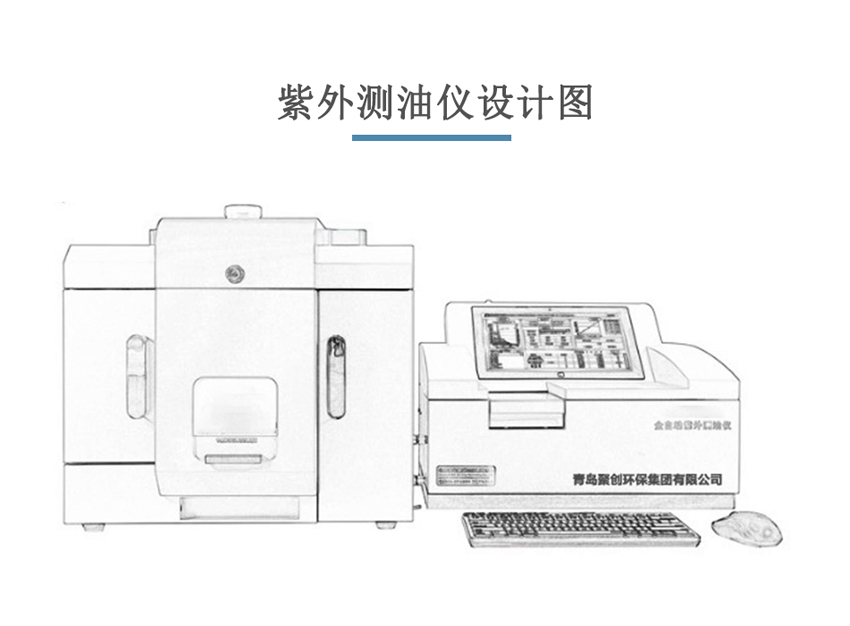 白姐全年正版王中王