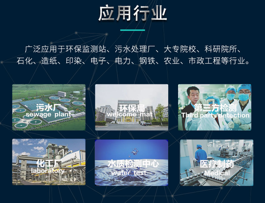 白姐全年正版王中王