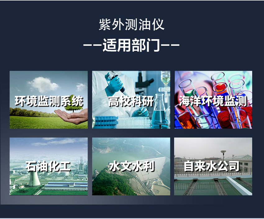 白姐全年正版王中王