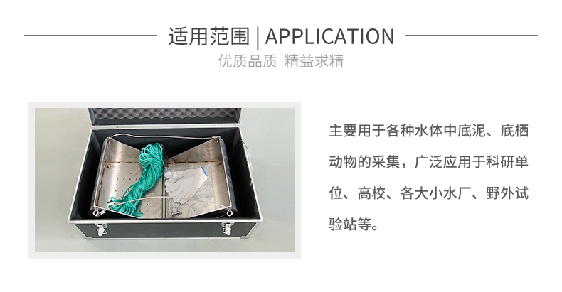 白姐全年正版王中王