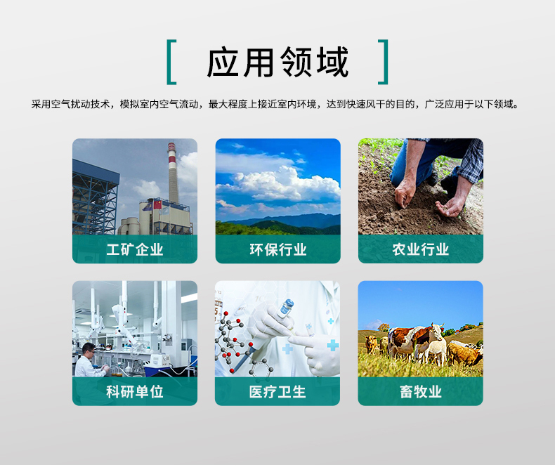 白姐全年正版王中王