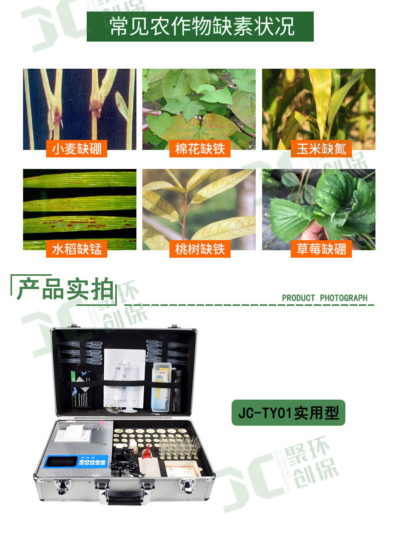 白姐全年正版王中王