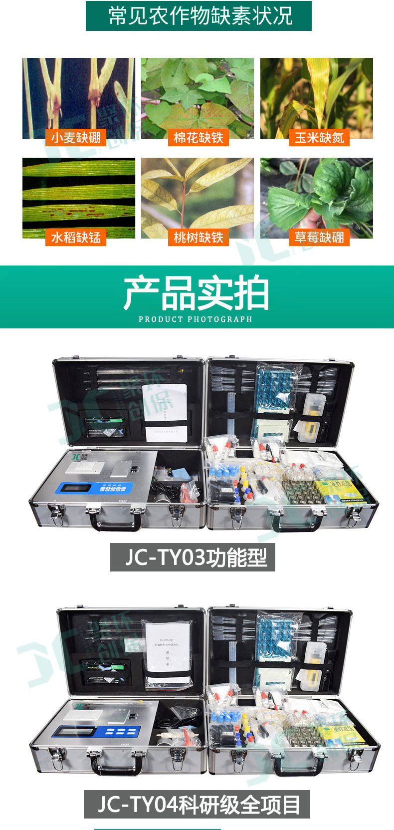白姐全年正版王中王