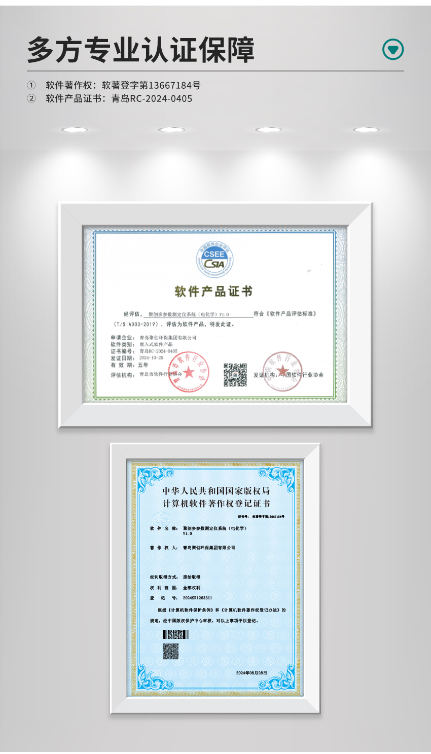白姐全年正版王中王