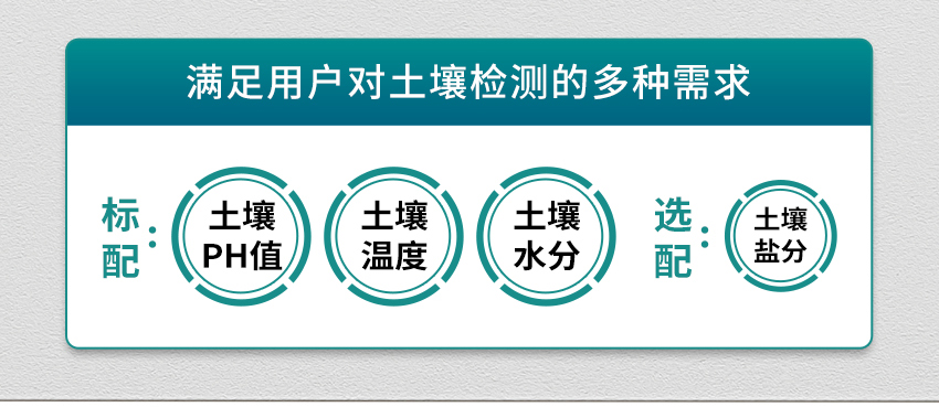 白姐全年正版王中王