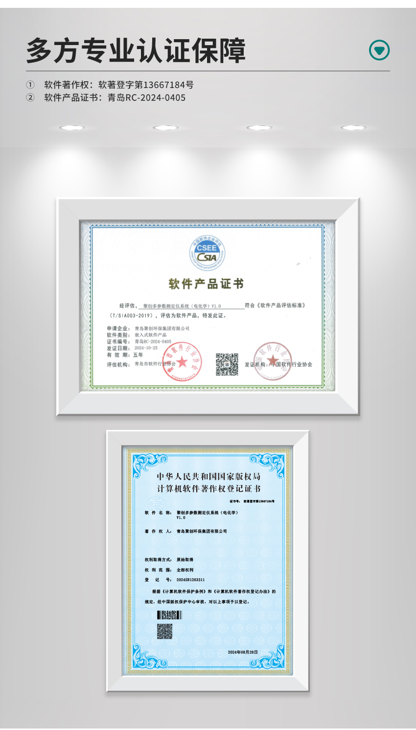 白姐全年正版王中王