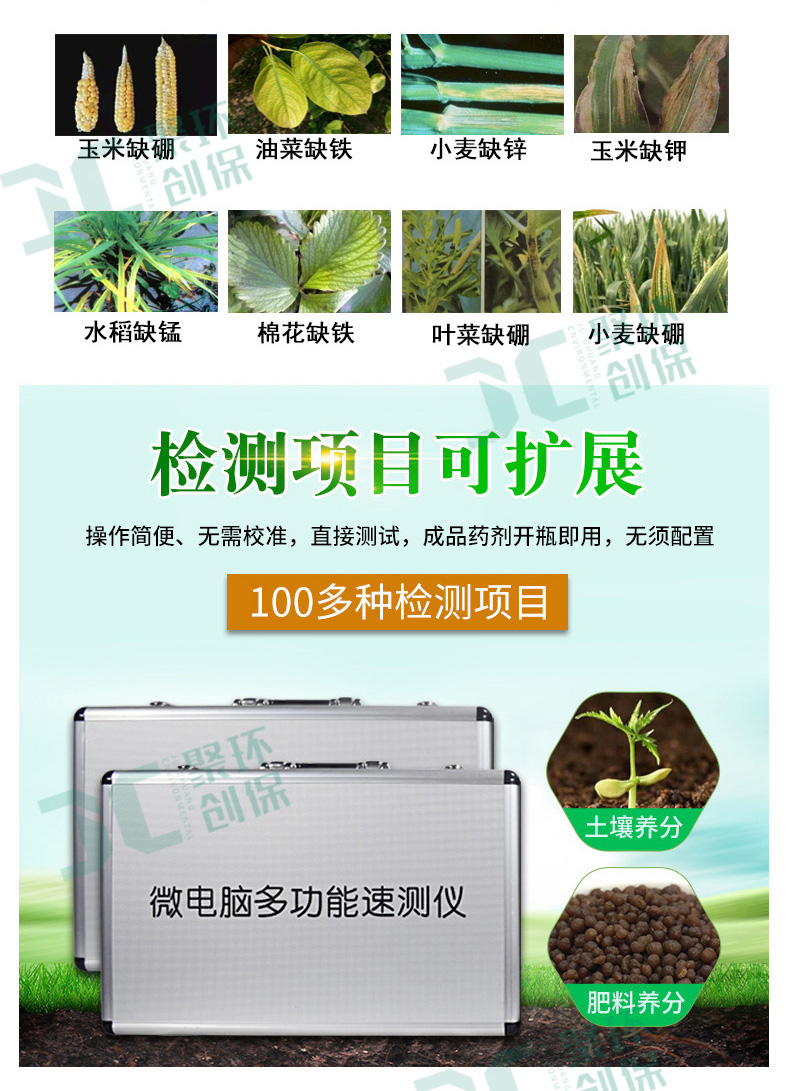 白姐全年正版王中王
