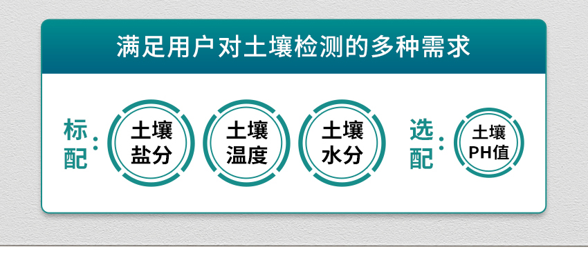 白姐全年正版王中王