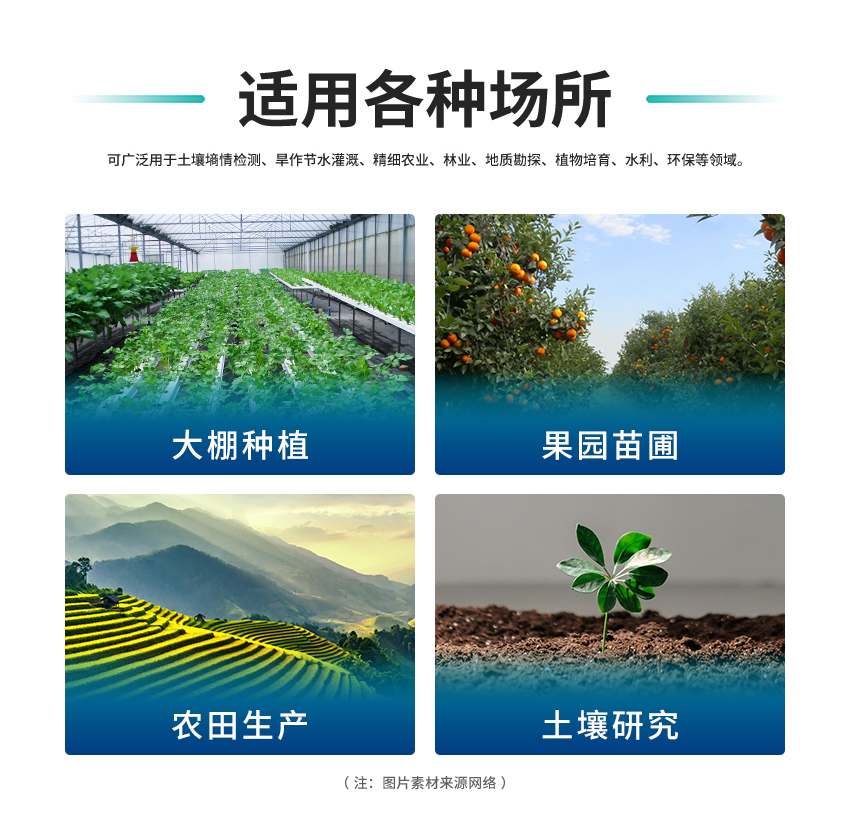 白姐全年正版王中王