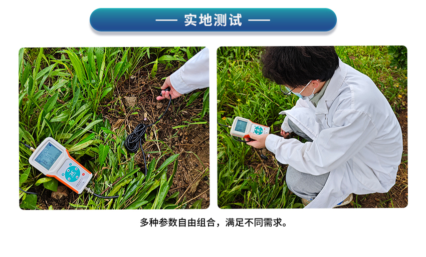 白姐全年正版王中王