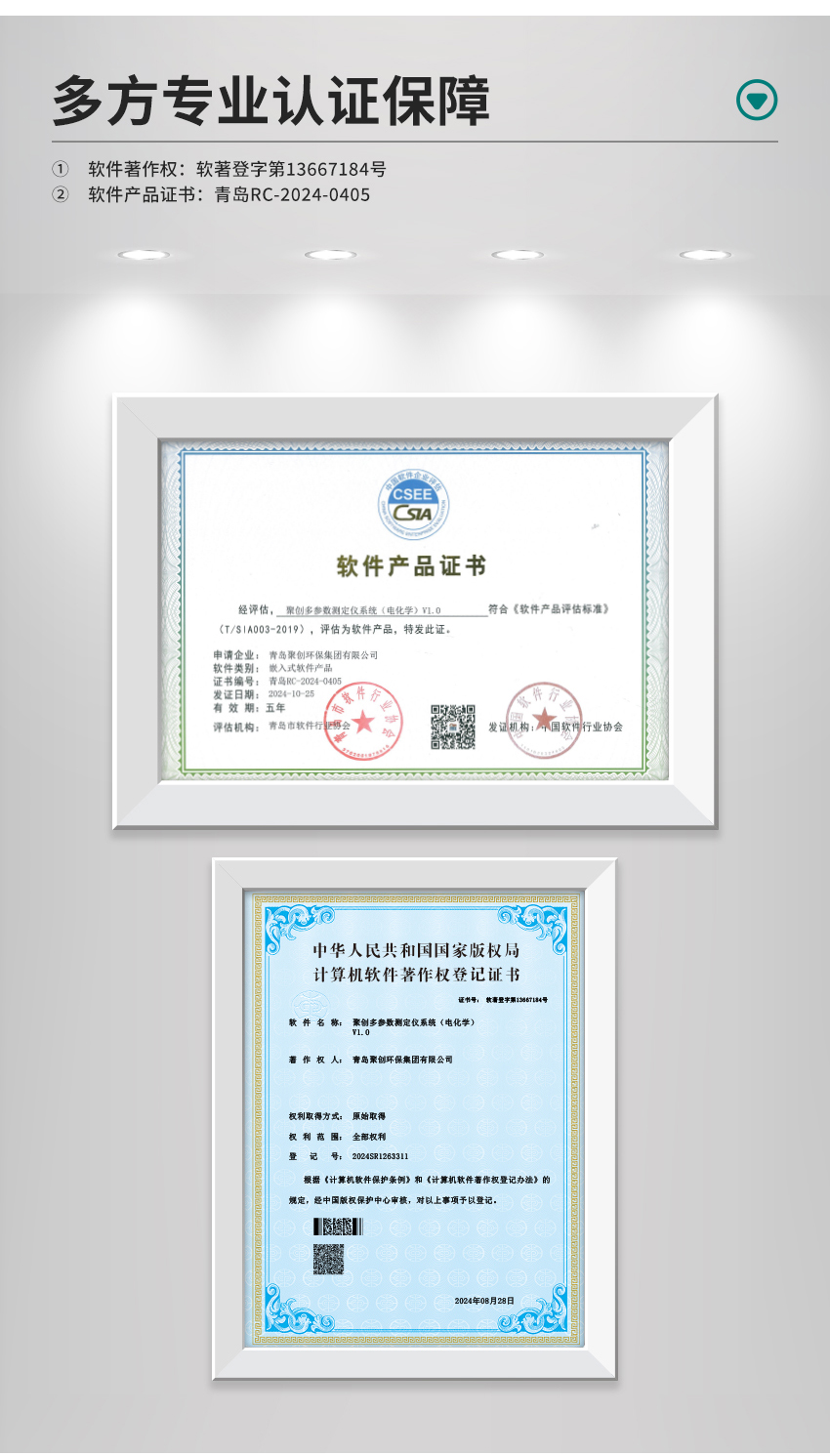 白姐全年正版王中王