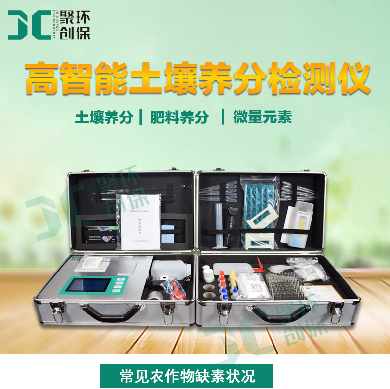 白姐全年正版王中王