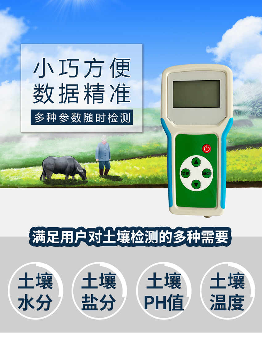 白姐全年正版王中王