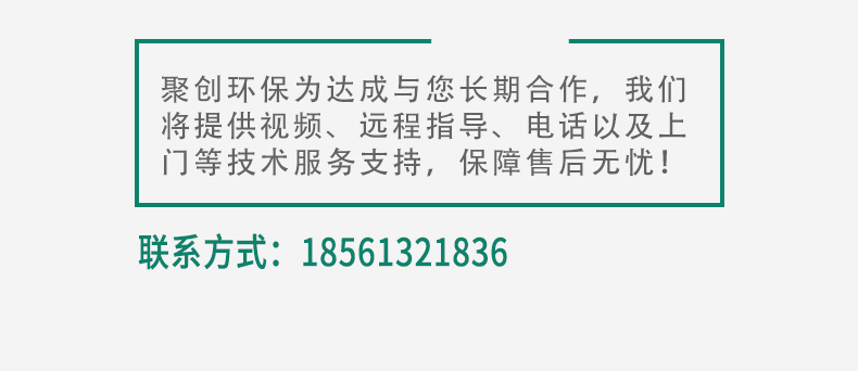 白姐全年正版王中王