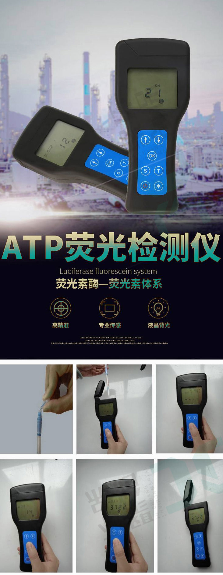 白姐全年正版王中王