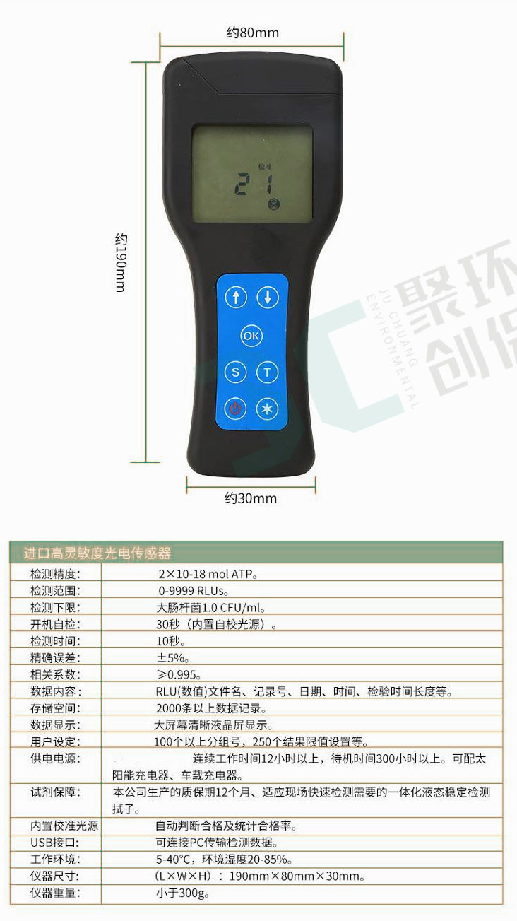 白姐全年正版王中王