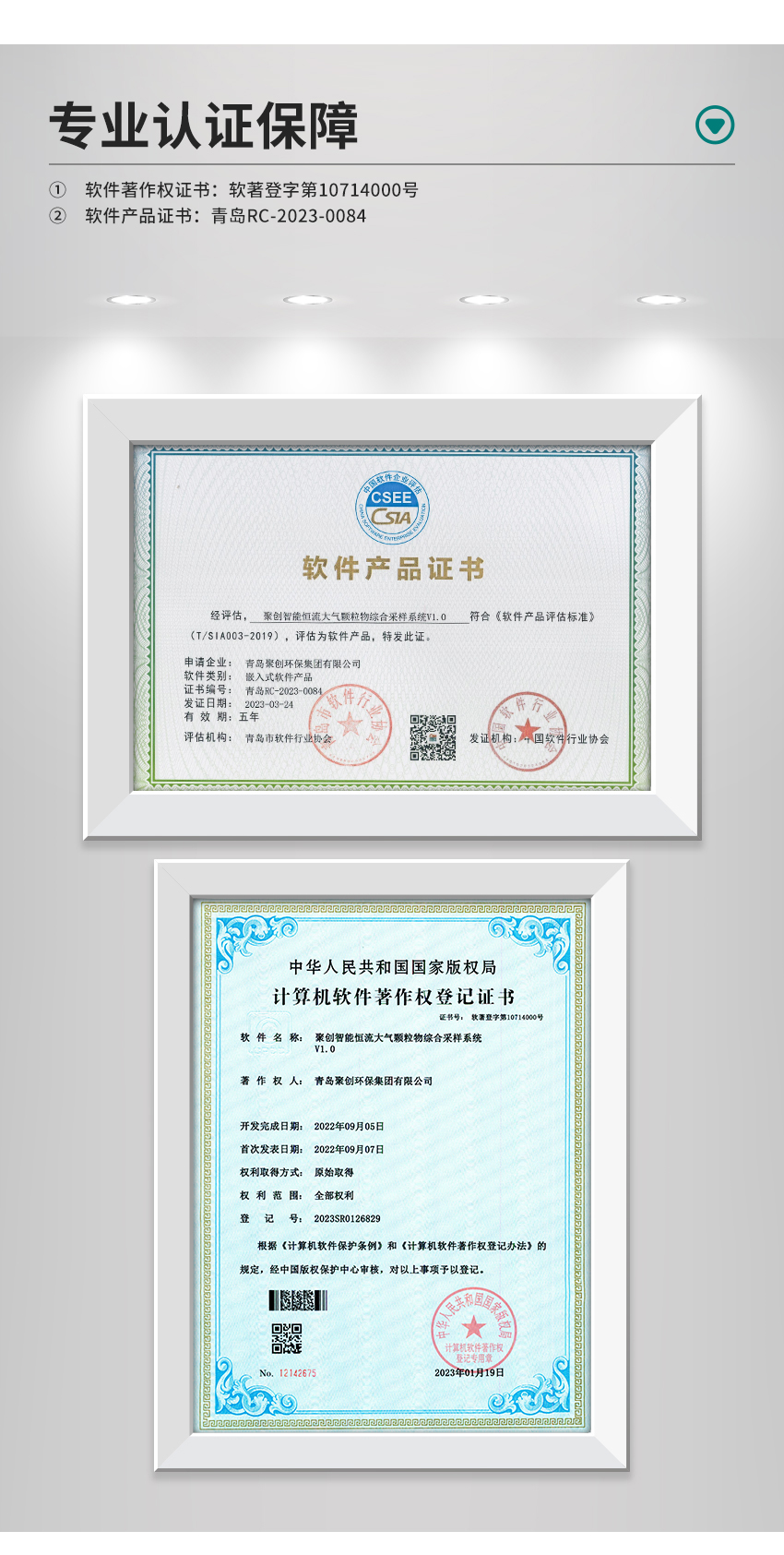 白姐全年正版王中王