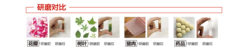 白姐全年正版王中王