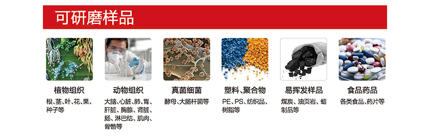 白姐全年正版王中王