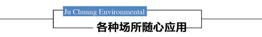 白姐全年正版王中王