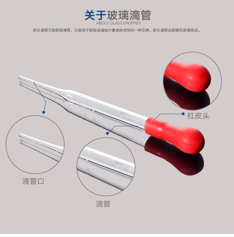 白姐全年正版王中王