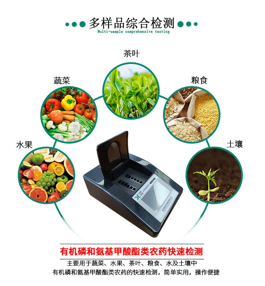 白姐全年正版王中王