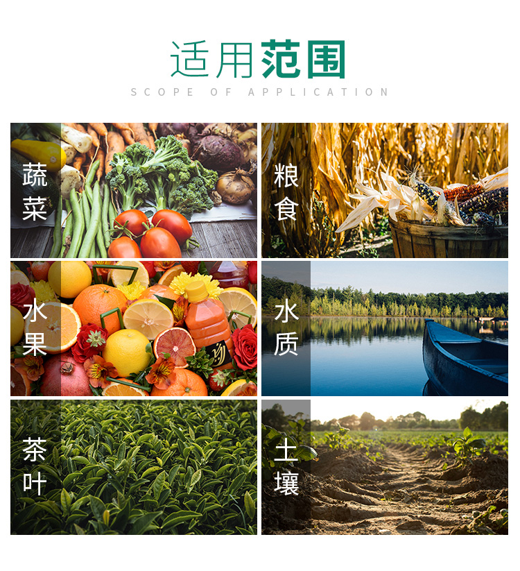 白姐全年正版王中王
