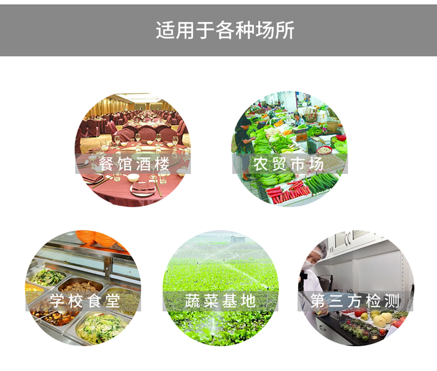 白姐全年正版王中王