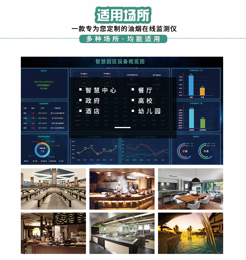 白姐全年正版王中王