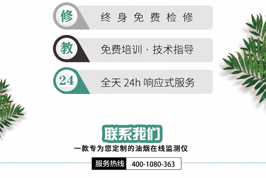 白姐全年正版王中王